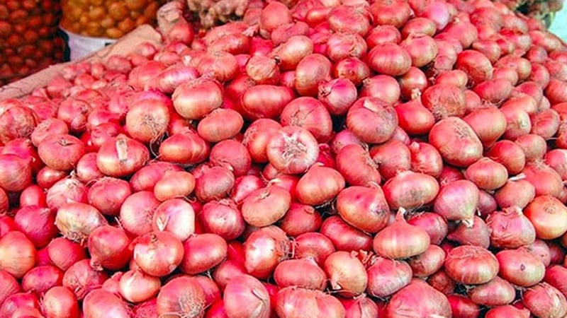 শিগগিরই ভারত থেকে আসছে ৫২ হাজার মেট্রিক টন পেঁয়াজ – DesheBideshe শিগগিরই ভারত থেকে আসছে ৫২ হাজার মেট্রিক টন পেঁয়াজ – DesheBideshe