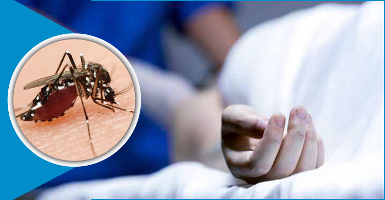 ডেঙ্গুতে বছরের প্রথম প্রাণহানি – DesheBideshe ডেঙ্গুতে বছরের প্রথম প্রাণহানি – DesheBideshe
