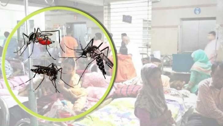 ডেঙ্গুতে আরও ২ জনের মৃত্যু, হাসপাতালে ভর্তি ২৩ – DesheBideshe ডেঙ্গুতে আরও ২ জনের মৃত্যু, হাসপাতালে ভর্তি ২৩ – DesheBideshe