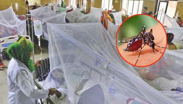 ডেঙ্গুতে চারজনের মৃত্যু, হাসপাতালে ভর্তি ১৩০৬ – DesheBideshe ডেঙ্গুতে চারজনের মৃত্যু, হাসপাতালে ভর্তি ১৩০৬ – DesheBideshe