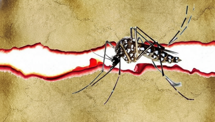 ২৪ ঘণ্টায় ডেঙ্গু আক্রান্ত হয়ে হাসপাতালে ভর্তি ২১, মৃত্যু নেই – DesheBideshe