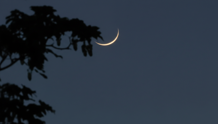 সৌদি আরবে মঙ্গলবার রমজানের চাঁদ দেখার আহ্বান – DesheBideshe সৌদি আরবে মঙ্গলবার রমজানের চাঁদ দেখার আহ্বান – DesheBideshe